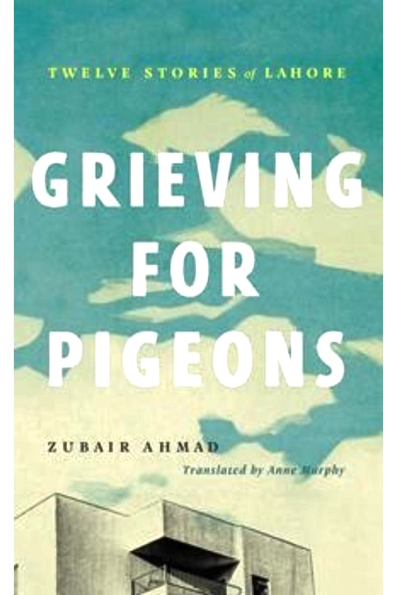 Grieving For Pigeons