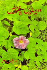 Wo Baharain Ye Khizayen | وہ بہاریں یہ خزائیں