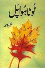 Toota Hua Pal | ٹوٹا ہوا پل