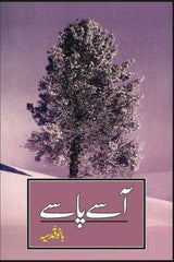 Aasay Paasay | آسے پاسے