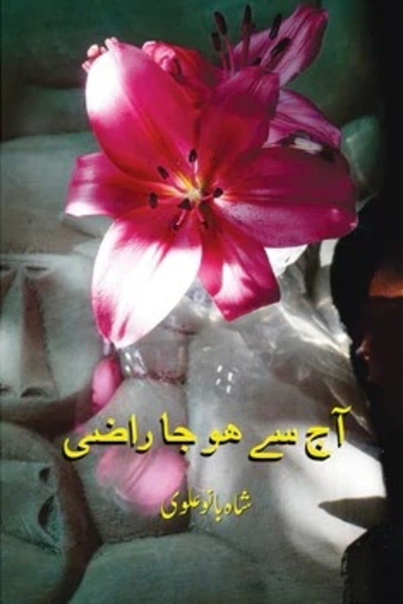 Aaj Se Ho Ja Raazi | آج سے ہو جا راضی