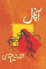 Aanchal | آنچل